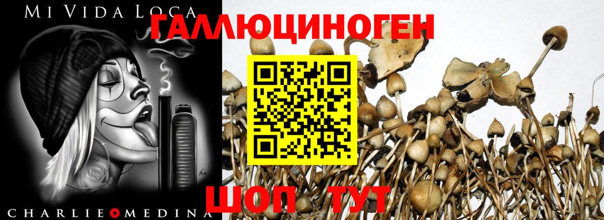 Кохма  Галлюциногенные грибы ЛСД  Вход с VPN 