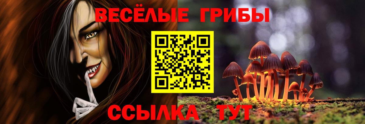 Псилоцибиновые грибы Psilocybine cubensis Кохма