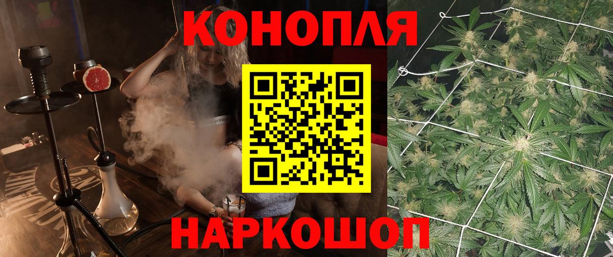 Бошки Шишки марихуана Кохма